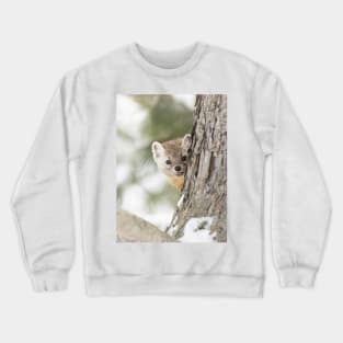 Pine Marten Crewneck Sweatshirt